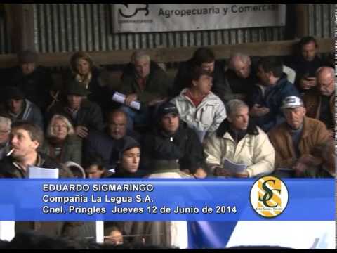 La Legua - EDUARDO SIGMARINGO - Cnel. Pringles - 12/06/2014