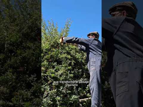 Huinganco cumple 62 años 🎉 El jardín secreto del norte neuquino