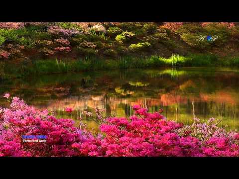 EDWARD SIMONI - Enchanted World (amazing pan flute music)