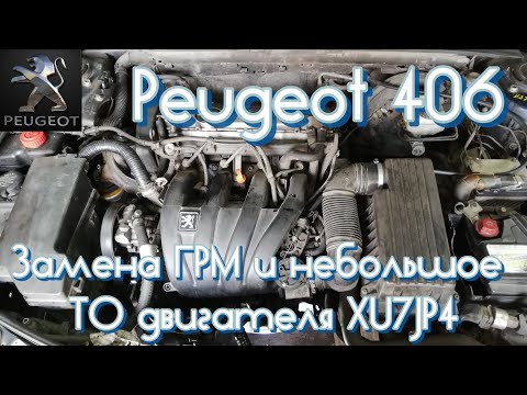 Peugeot 406. Замена ГРМ и небольшое ТО двигателя XU7JP4