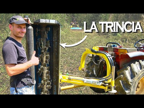 Trincia: tutto ciò che devi sapere