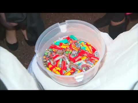 Westchester County Sex Offender Halloween