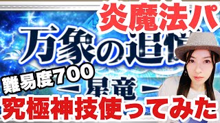 【FFRK】バハムート零式 炎魔法パ 究極神技使ってみた！リアルな感想#1211