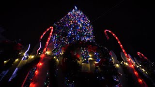 2019 Holiday Tree Lighting Wrap Up