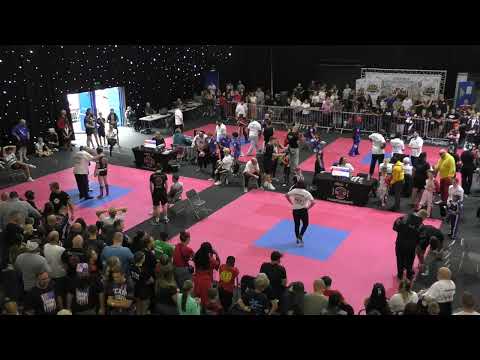 TATAMI WORLDS MATTS 1 2 7 8 PART 5