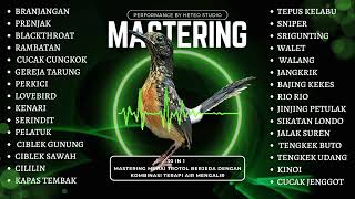 Download lagu 30 IN 1! HEMAT 100JUTA MASTERAN TROTOL GACOR NASIONAL PENCETAK MURAI BATU SINGO EDAN AVATAR ESCOBAR mp3 Download lagu 30 IN 1! HEMAT 100JUTA MASTERAN TROTOL GACOR NASIONAL PENCETAK MURAI BATU SINGO EDAN AVATAR ESCOBAR mp3