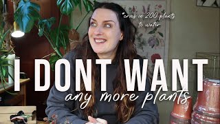 Repot With Me Q&A | House Plant Overwhelm, Lessons, & More