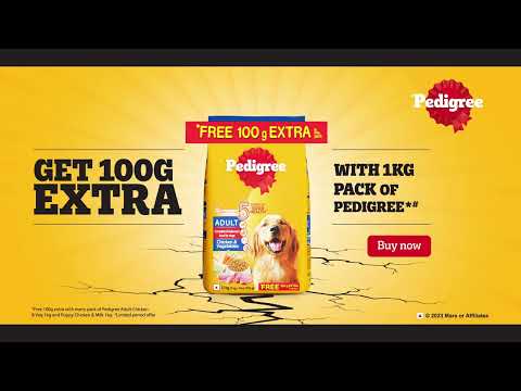 Pedigree Adult Dry Dog Food