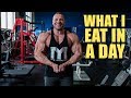 What I Eat in a Day TRAVEL EDITION | Tiger Fitness