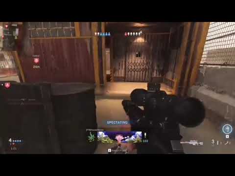 Nogla and Wildcat "Beef"