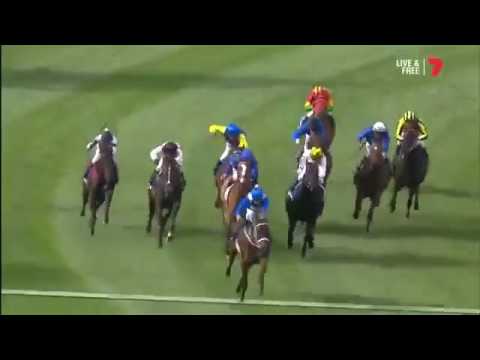 Winx  wins the 2016 Cox Plate at Moonee Valley Racecourse