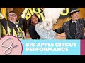 The Big Apple Circus Dancing Dogs Sherri Shepherd