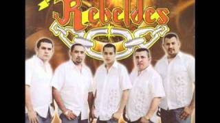 Los Números Lyrics English Translation