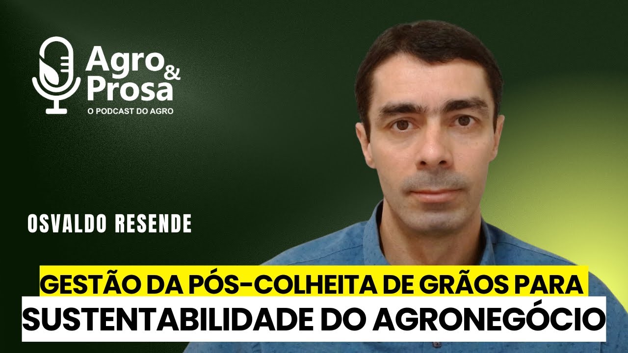 Gestão da pós-colheita de grãos para sustentabilidade do agronegócio