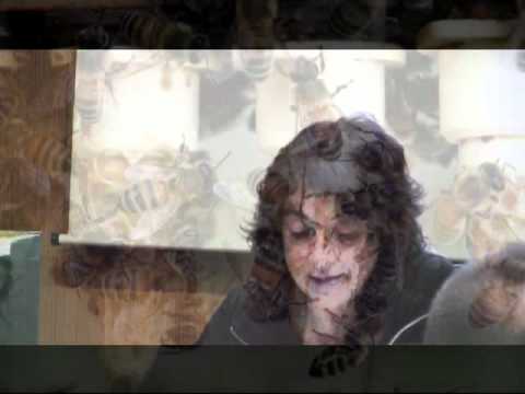 Francesca Zanchetti 2012 - Allevamento di Api Regine