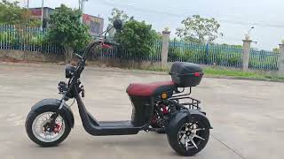 Citycoco 4000w Electric Scooter 60V Tricycle High Speed Motorcycle Electric Motorcycles Chopper