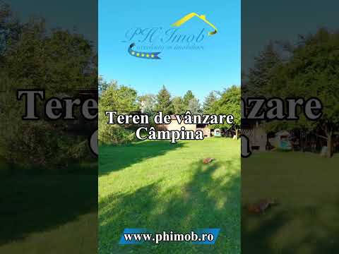Teren de vanzare, Campina — Video