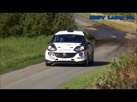 Skoda Rallye Liezen 2017//Gernot Zeiringer//Bianca Marina Stampfl