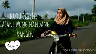Download lagu Story wa (pamer bojo) ,cecan naik c70 mp3