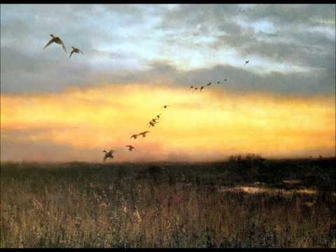 Amor de resero - Alfredo De Angelis - Juan Carlos Godoy, Lalo Martel  1959.05.04