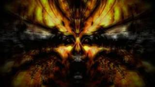 Meshuggah - Organic Shadows