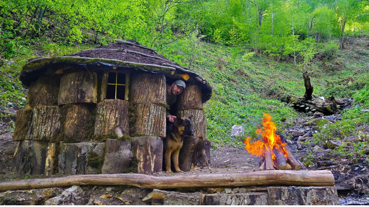 Tree Stump Cabin Build: Surviving 5 Nights