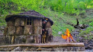 Tree Stump Cabin Build: Surviving 5 Nights