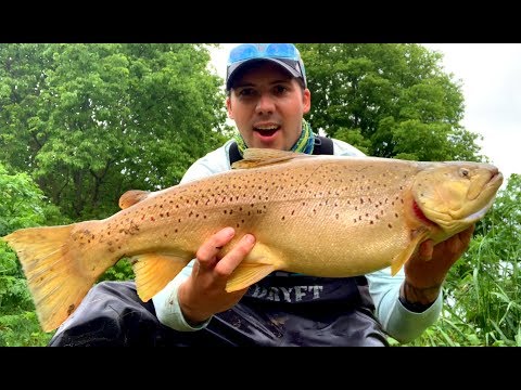 download lagu mp3 mp4 Madriver, download lagu Madriver gratis, unduh video klip Madriver