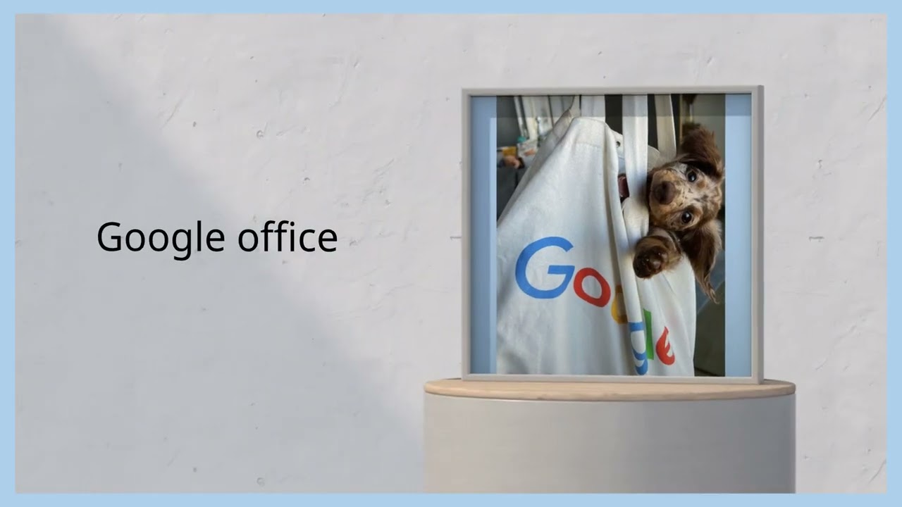How to activate and deactivate Google Discover?