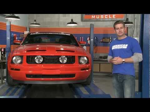 Mustang GT Style Grille w/ Fog Lights (05-09 V6) Review