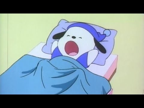 포챠코가 들려주는 통통튀는 귀여운 음악, 산리오 플리 | Playlist | sanrio | 작업 | 공부 | 집중 | 몽글몽글