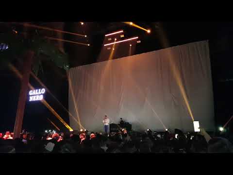 471 - Gallo Nero _ PaP2 Tour (Stuttgart)