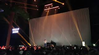 471 - Gallo Nero _ PaP2 Tour (Stuttgart)