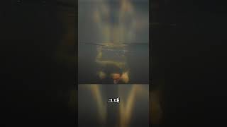 Download lagu 강가에서 발견된 충격적인 괴생명체..!!  [미스터리] mp3