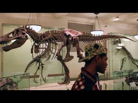 whxtxtiger - Scottie Piffen [OFFICIAL VIDEO]