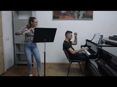 C.P. E. Bach - Flute Concerto in D Minor Wq. 22: I. Allegro