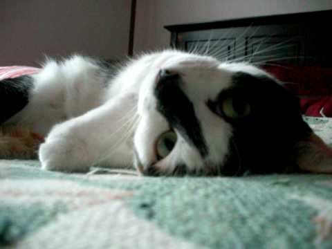 Luanne takes a sleepy