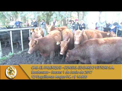 01-06-17 Venta de Vaq. Angus P.C. - Cab. El Palenque - Bordenave.