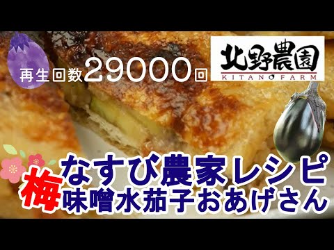 梅味噌おあげさん