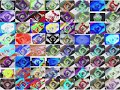 64 KlaskyKlaskyKlaskyKlasky Gummy Bear S In G Major With Normal Color