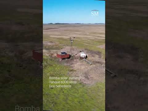 Campo en venta en Navarro, Buenos Aires – 80 hectáreas con aptitud ganadera