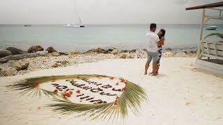 Surprise Proposal - Saona Island Punta Cana