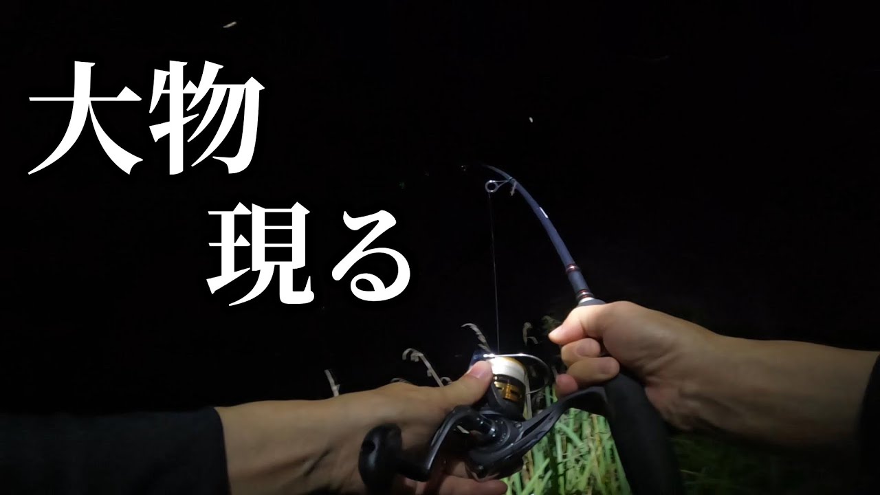 うなぎ釣りで竿がブチ曲り