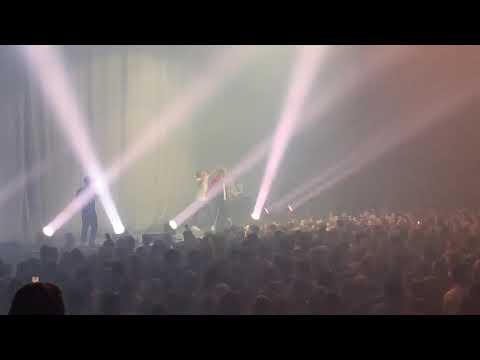 L’or du commun -sûr ma vie. Forest National