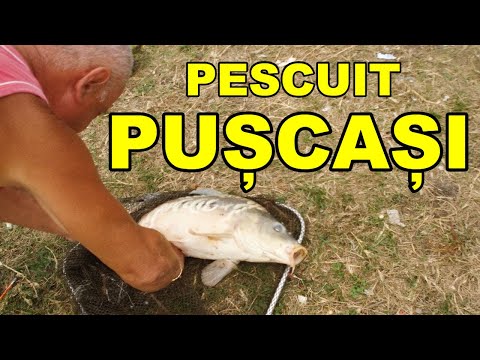 Pescuit la crap balta Puscasi Vaslui