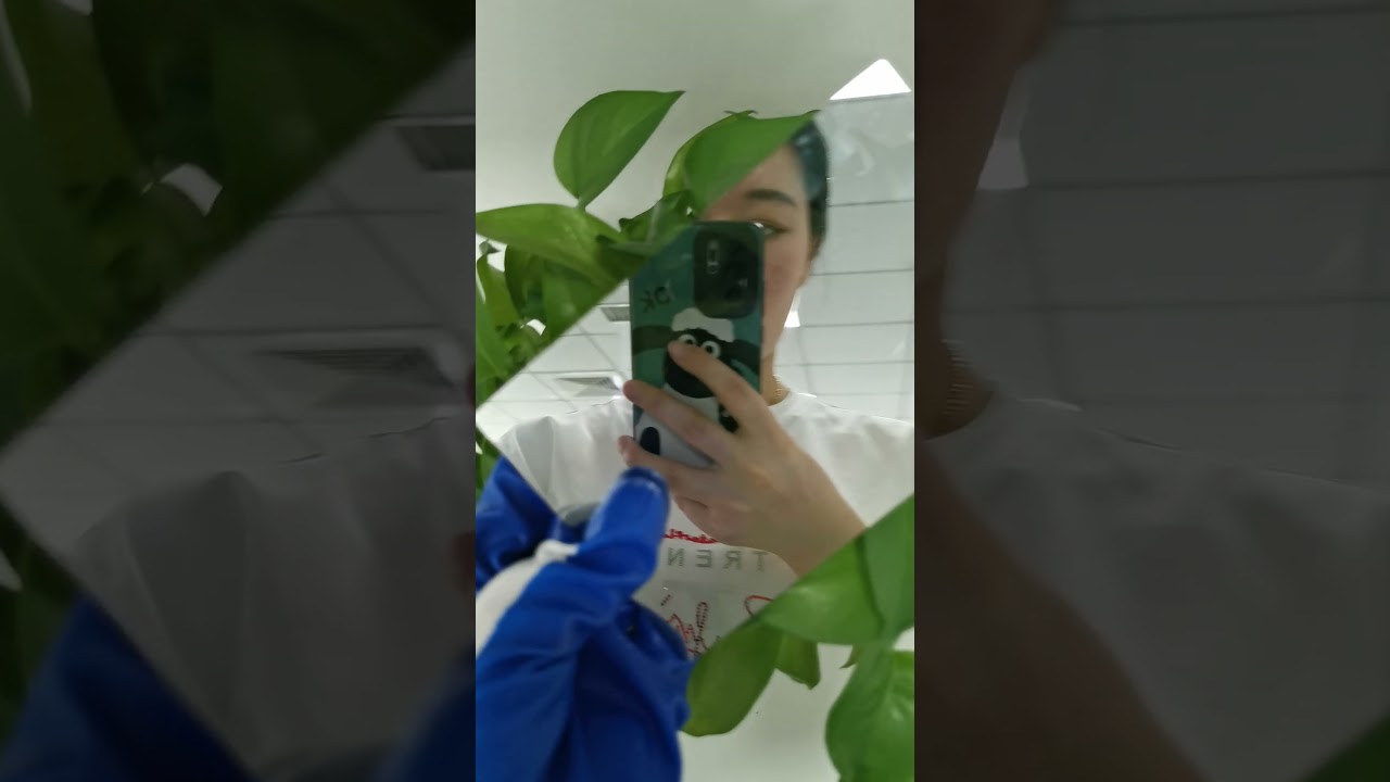 China glass supply-Shandong Lianhai Trade Co., Ltd