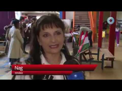 citromsav ciklus egyszeruen