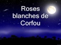 Nana Mouskouri, Roses blanches de Corfou  lyrics