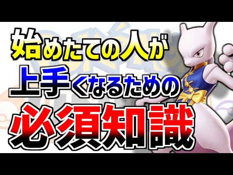 「カッター」ミツバチ(ここではアカシアの葉を切るメガチリ・ロタンダタ)