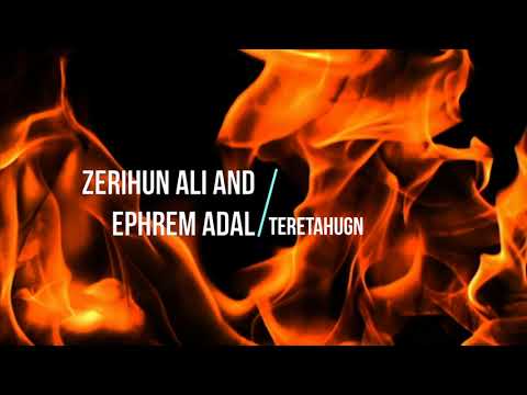 Track 11  Zerihun Ali and Ephrem Adal  - Teretahugn